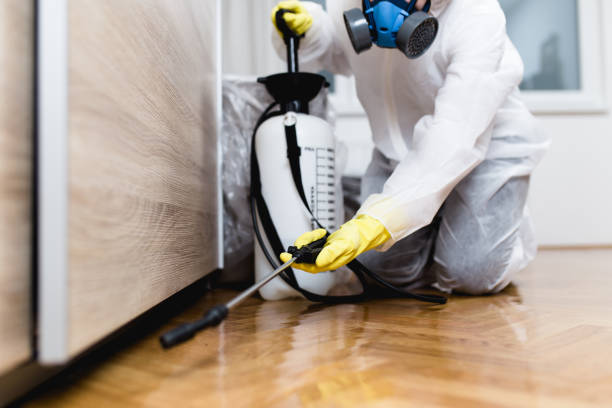 Best Affordable Pest Control Services  in Milton, WV