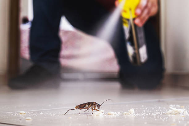 Trusted Milton, WV Pest Control Experts